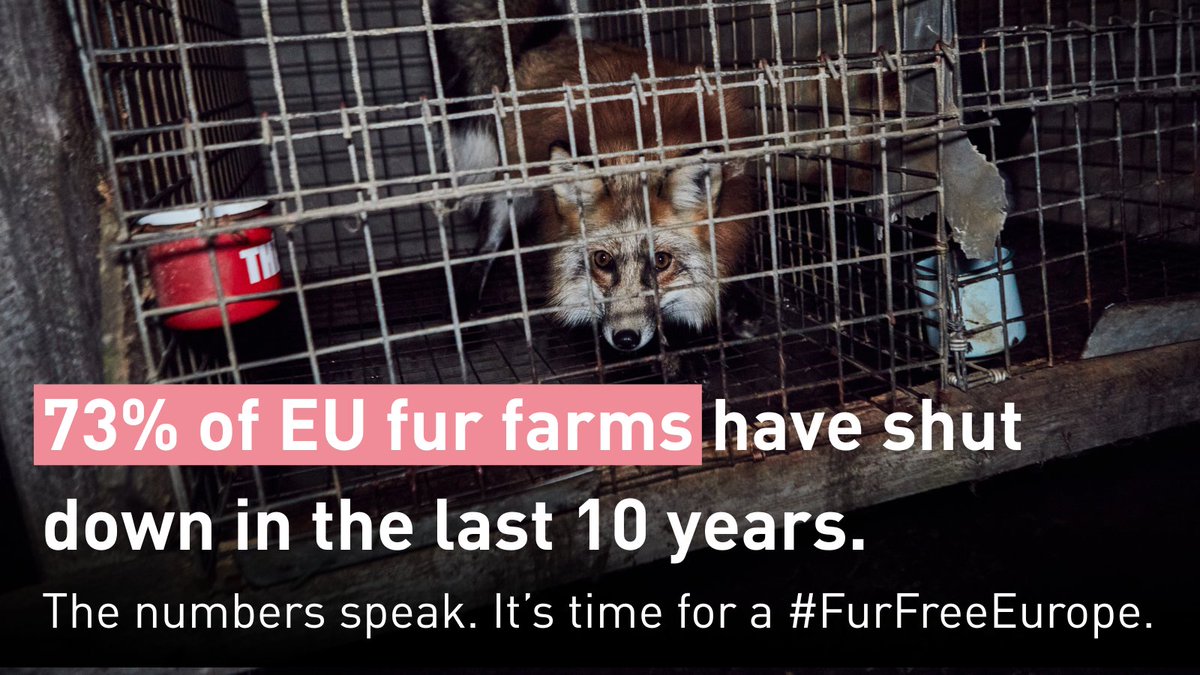 FOUR PAWS European Policy Office tweet media