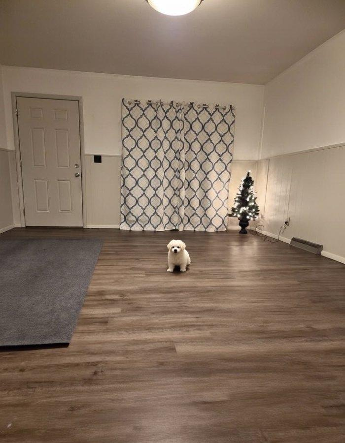 is this enough to start life?