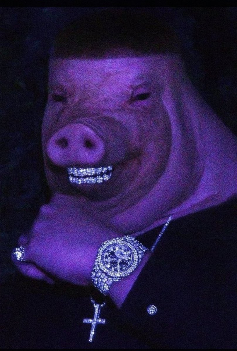 PiggerWiggerPig's tweet photo. @coldweb3 The boss of memes. $Pigger.

Ca: DBh9F2wSukCJdZeNkLYe2LMYnCwMyLcnBgeCf4pgpump https://t.co/6C08Z81OeO