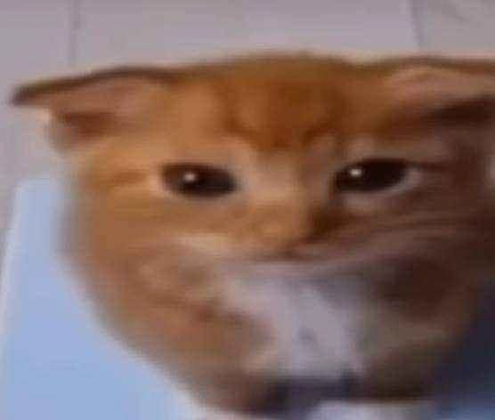 Hoy me desperté buena onda, feliz, amaba vivir

Le hackearon el numero a mi padrastro