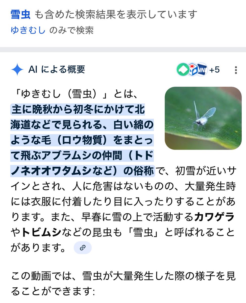 北海道で見られる虫を神戸でみたんです

こんな虫を神戸で人生で初めて見た気がする

環境が変わってる気がした🌏