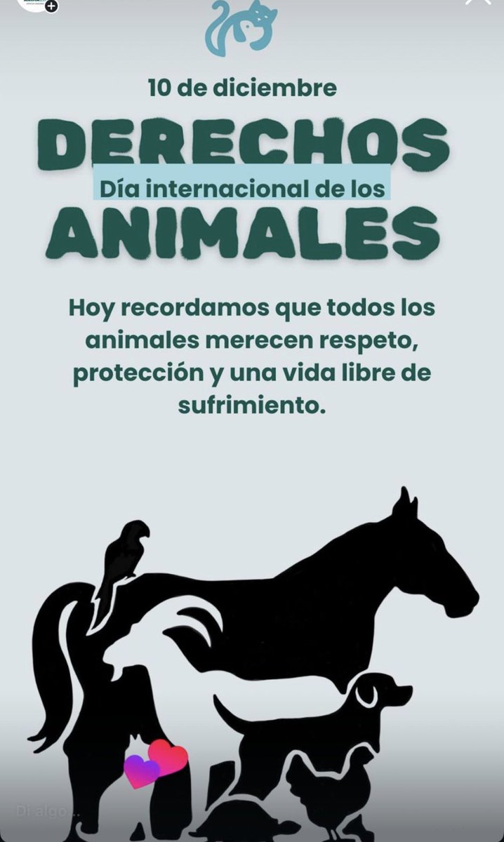 andreaferraciol's tweet photo. 💛🐾 10 de diciembre – Día Internacional de los Derechos de los Animales
Los animales sienten, sufren y tienen derechos.
Defenderlos es construir un mundo más justo y compasivo.

#DíaDeLosDerechosDeLosAnimales #DerechoAnimal #Empatía https://t.co/dymBP7auQs