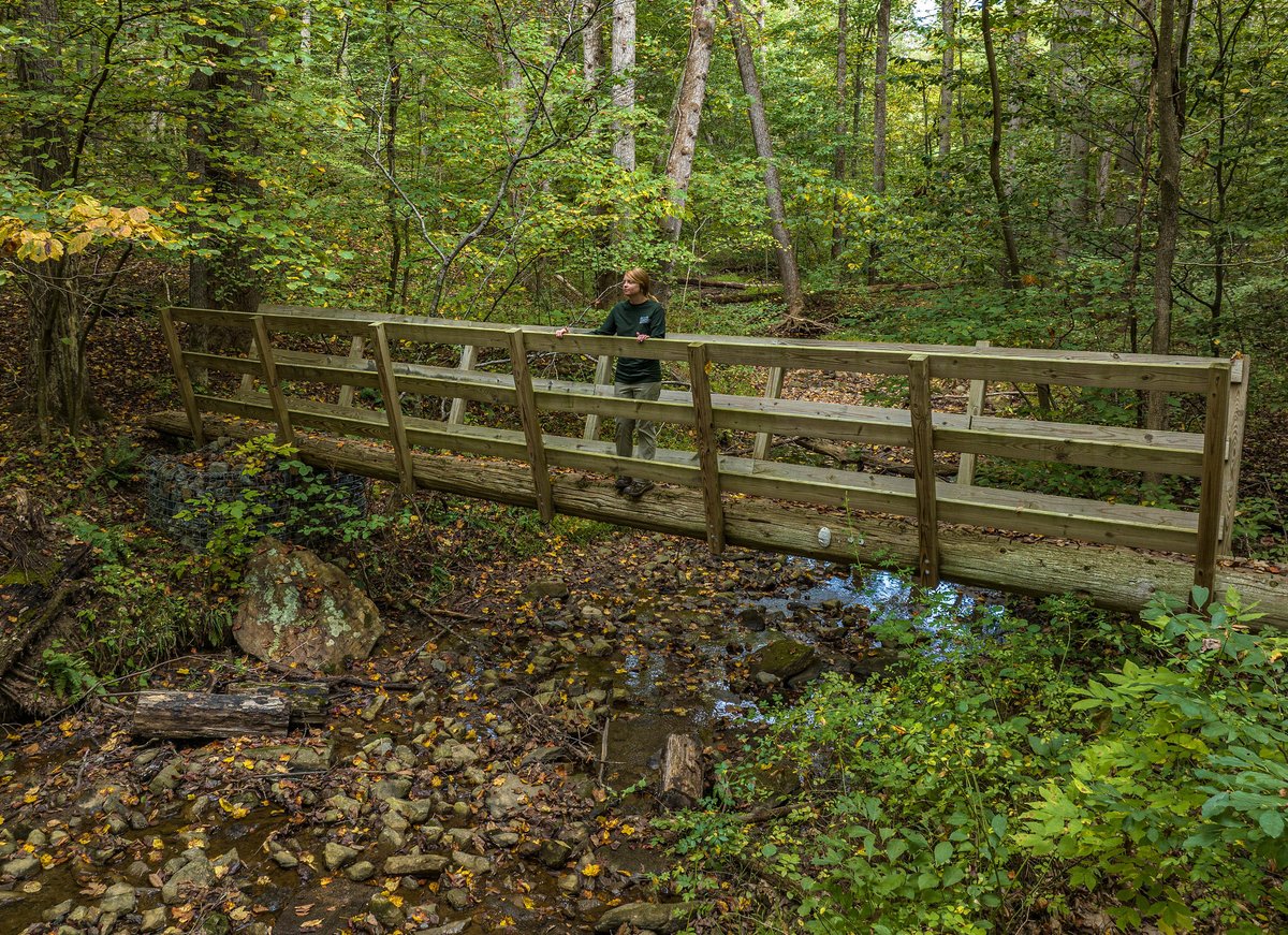 Check out what is happening at Sweet Run State Park this weekend.  From guided hike to hands-on activities, there is something for everyone!

dcr.virginia.gov/state-parks/sw…