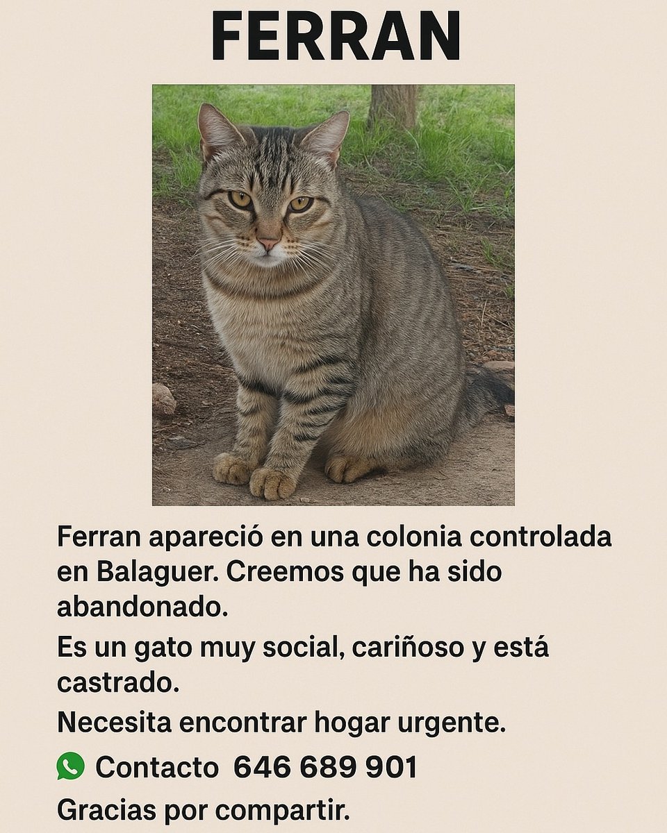 john_doe1237's tweet image. Hoy llueve es un puto día de MIERDA y Ferran está en la calle que putísima vida