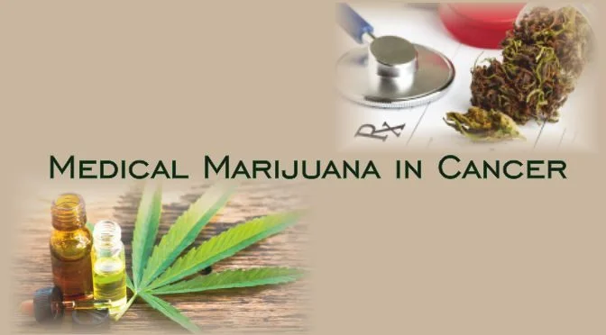 Rare Varin Cannabinoids Show Potent Anticancer Activity in Lab Tests

themarijuanaherald.com/2025/12/study-…