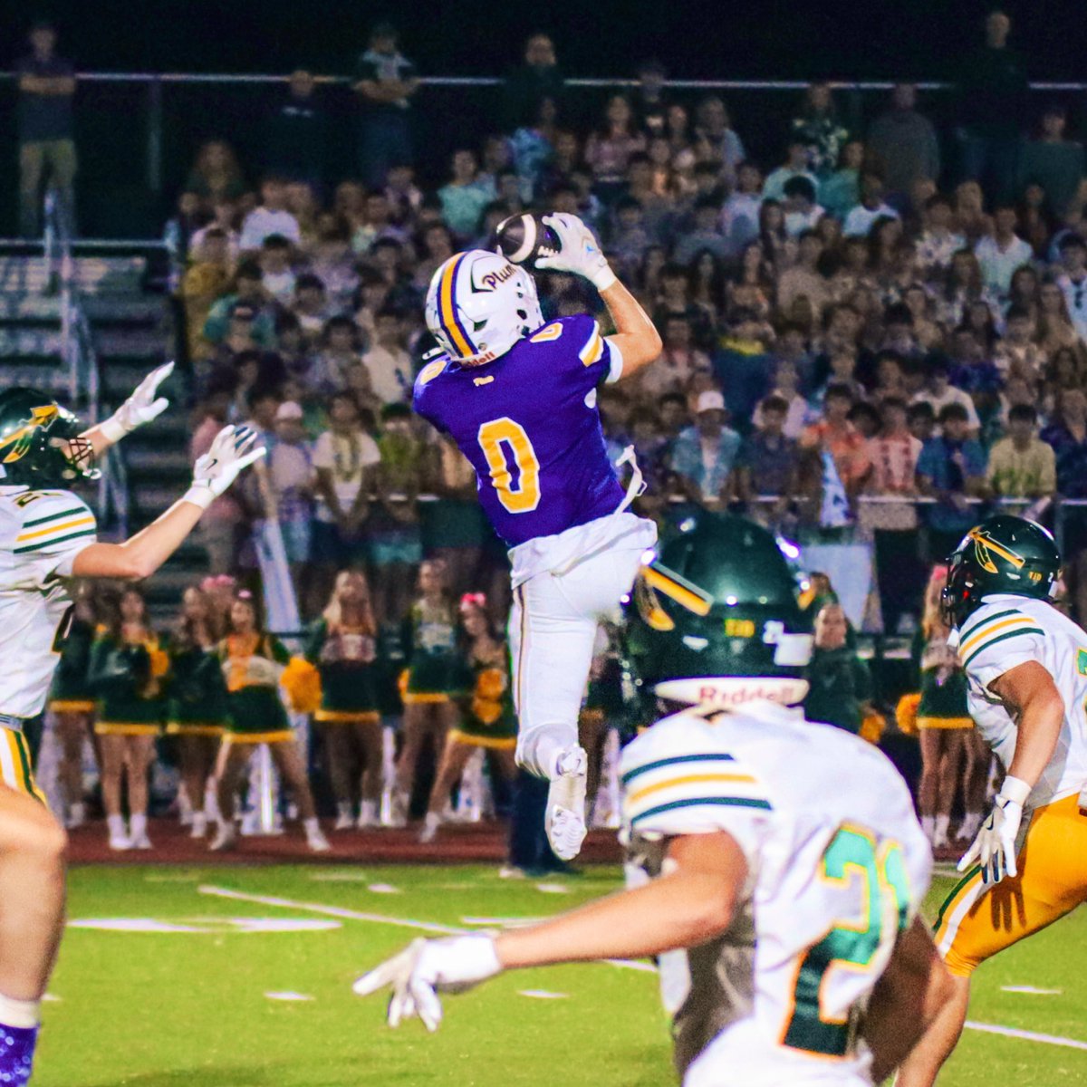 Niko Signor tweet media