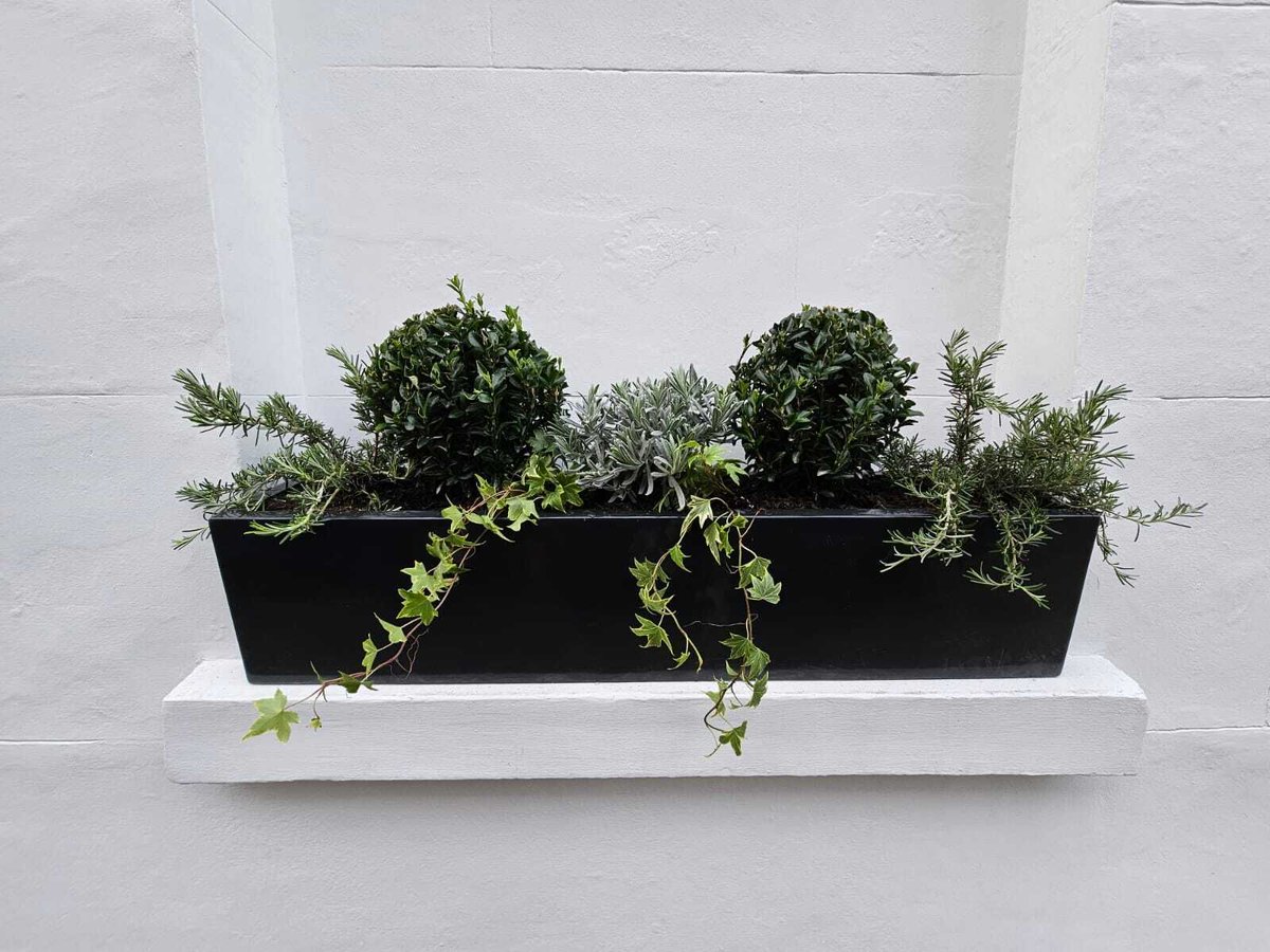 Meristem Design tweet media