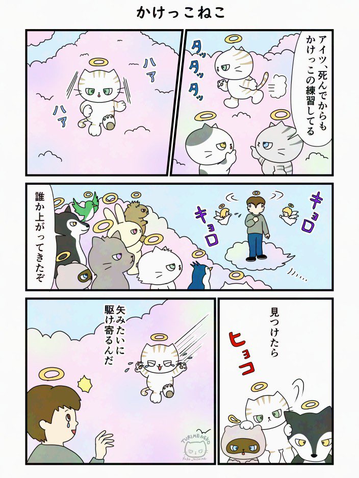 ❤︎‬‪つともん‪‪❤︎‬（感謝）/4 わーい😆 4つ揃ったね👏 ちょっとずつ違うけどどれもめちゃくちゃ