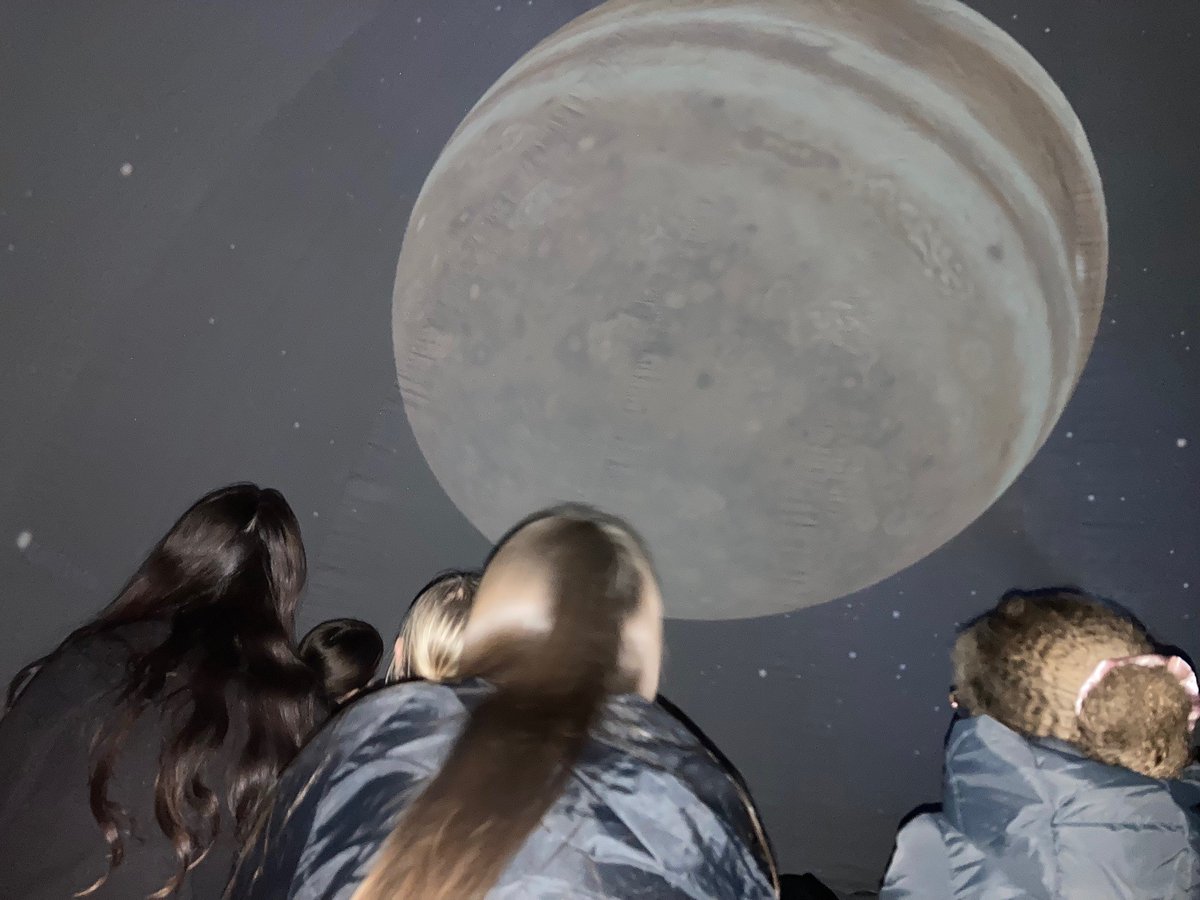 BerthaParkDYW tweet media