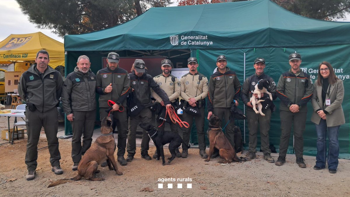 🐾 Gràcies de tot cor a les unitats canines dels <a href="/BandersAndorra/">Banders d'Andorra</a> i dels #AgentesForestalesCM per la seva col·laboració en l’operatiu de contenció de la #PPA.

💚 Un treball rigorós i imprescindible. Bon retorn a casa!