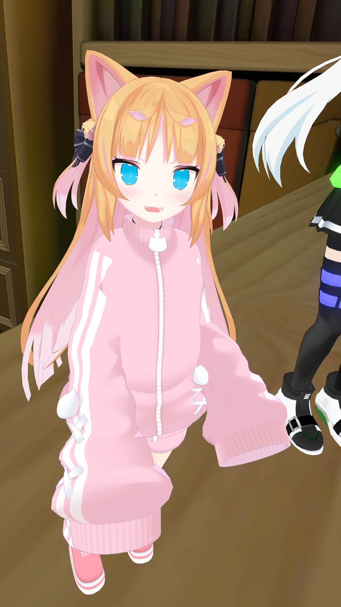 ぬっこ (@vcnukko) / Posts / X