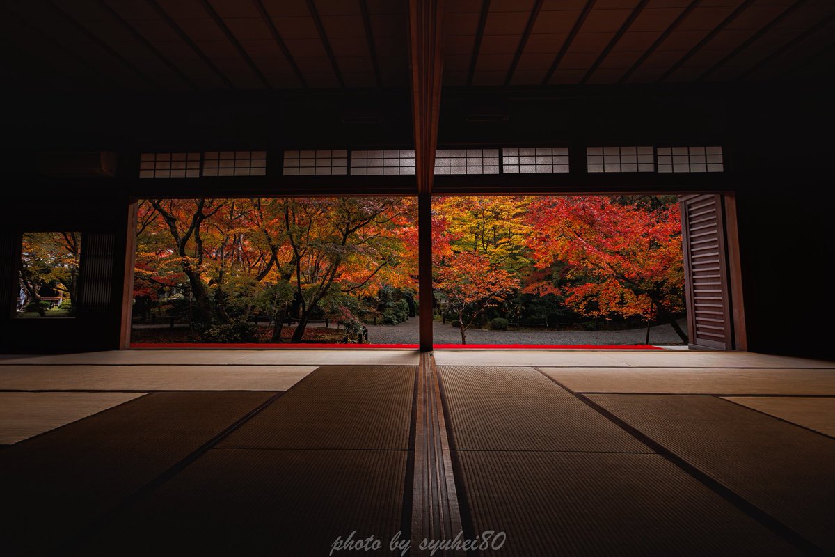 syuhei80's tweet photo. 早朝と言うのもあるけど人が少なくスムーズに撮れ��🙌

#京都 #紅葉 #そうだ京都行こう 
#tokyocameraclub https://t.co/Osr4H7QnMb