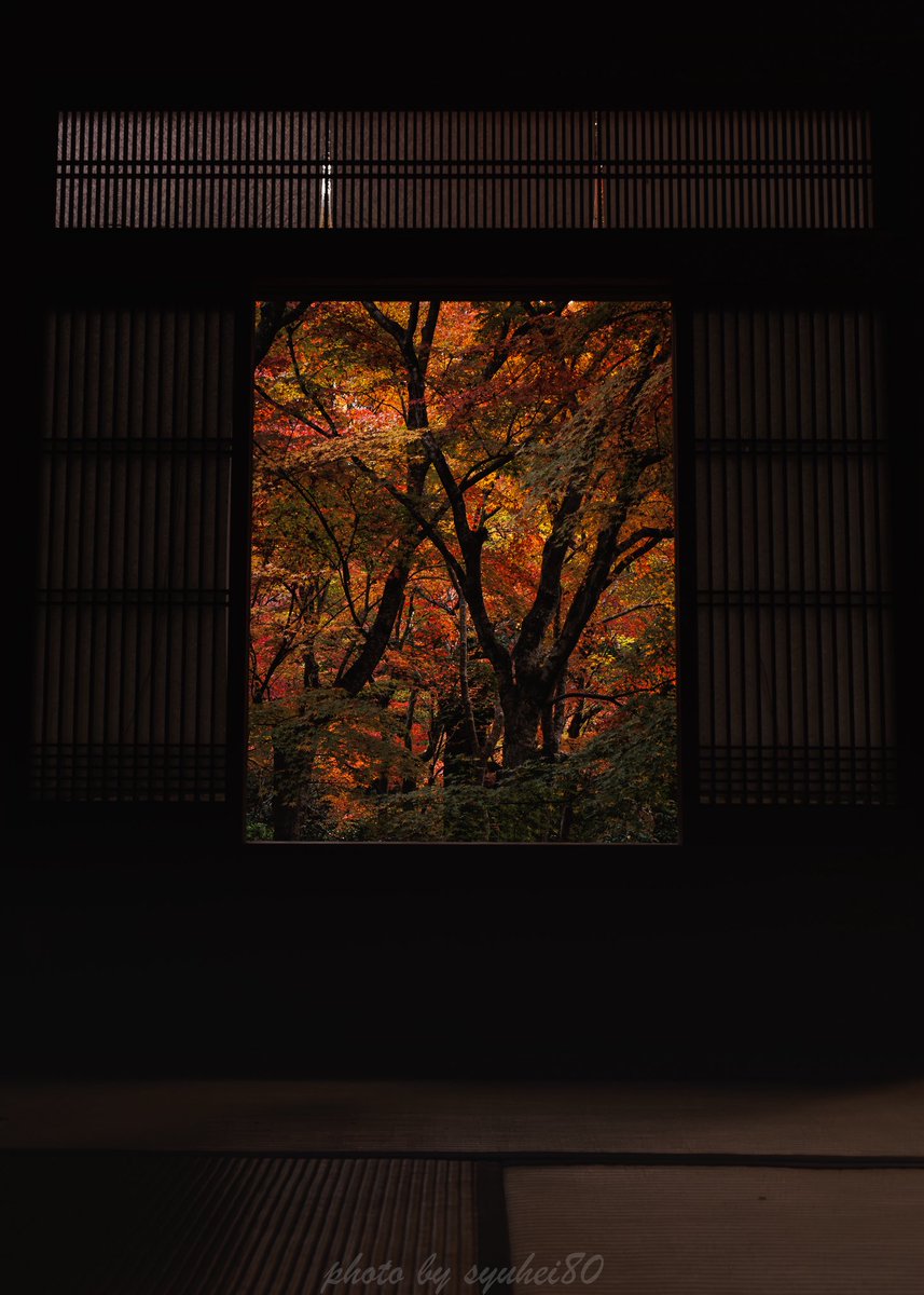 syuhei80's tweet photo. 早朝と言うのもあるけど人が少なくスムーズに撮れ��🙌

#京都 #紅葉 #そうだ京都行こう 
#tokyocameraclub https://t.co/Osr4H7QnMb