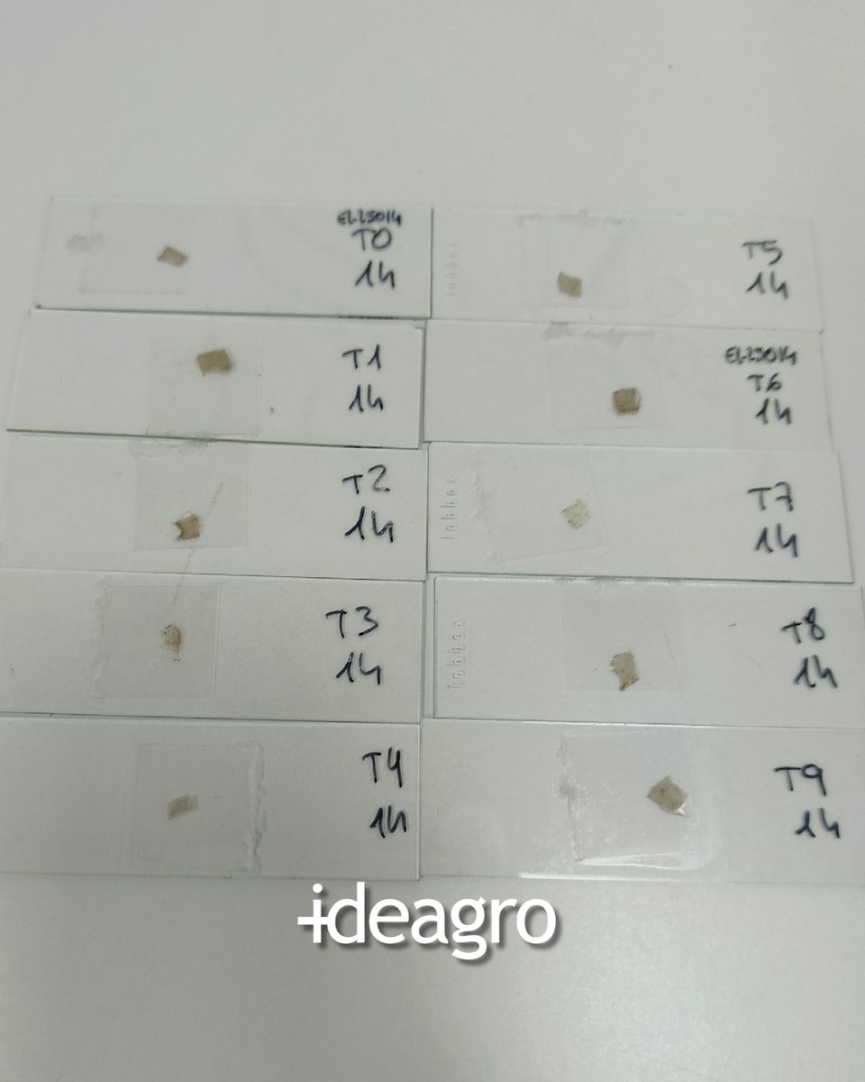IDEAGRO tweet media