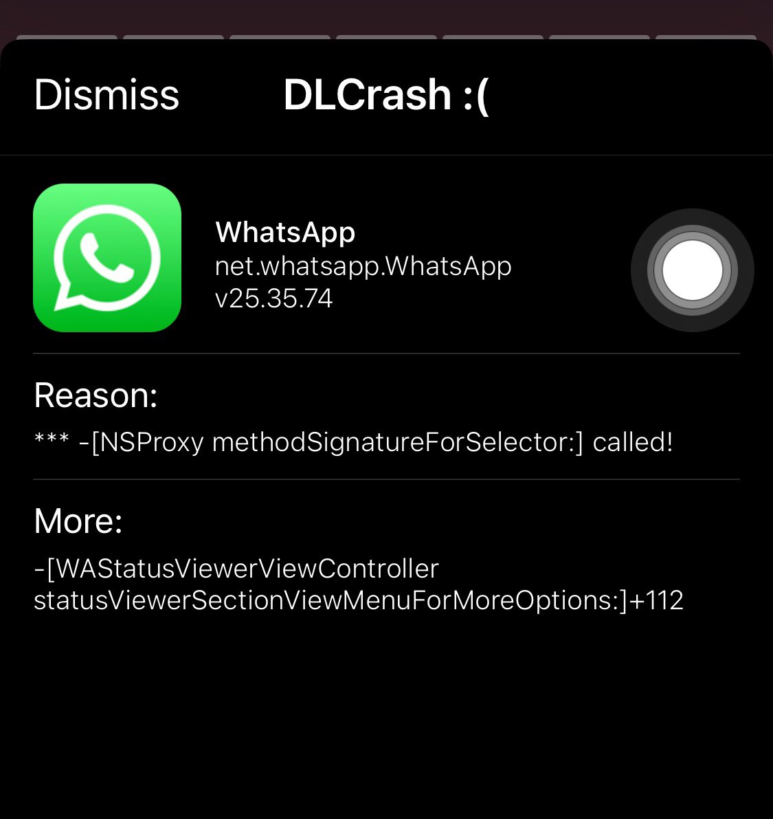 Papi Curtis tweet media