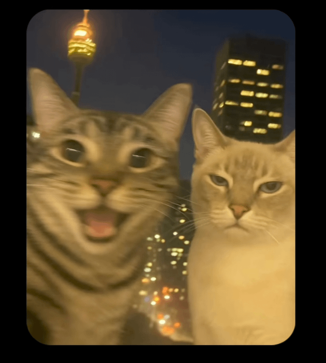 This is Joey and Chandler in London