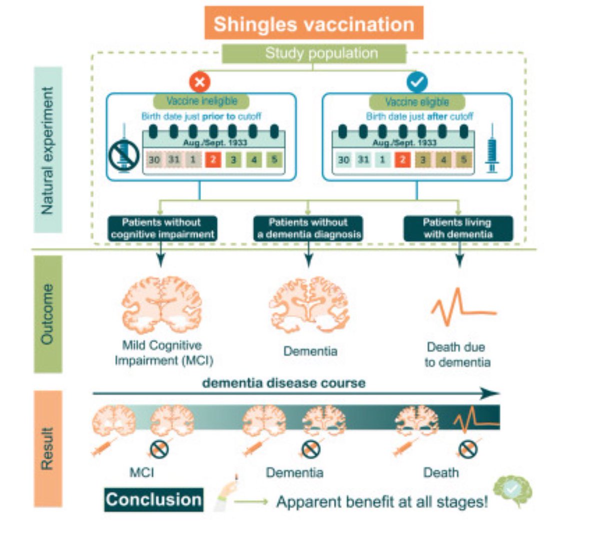 Herpes zoster:
Este estudio con vacuna de virus vivos confirma lo que se había observado con la vacuna recombinante: la prevención reduce el riesgo de padecer deterioro cognitivo o demencia tipo Alzheimer (particularmente entre mujeres). 
¡A vacunarse!
sciencedirect.com/science/articl…