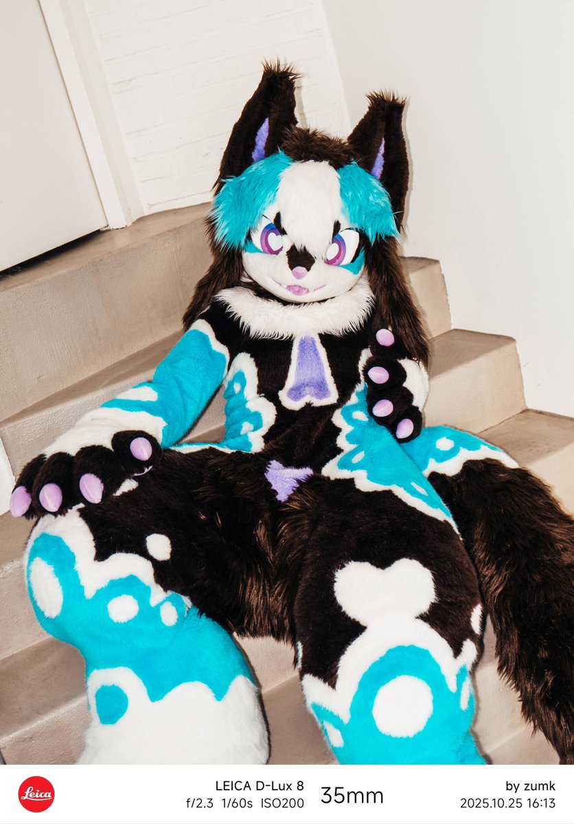 ざう (@always_thaw) / Posts / X