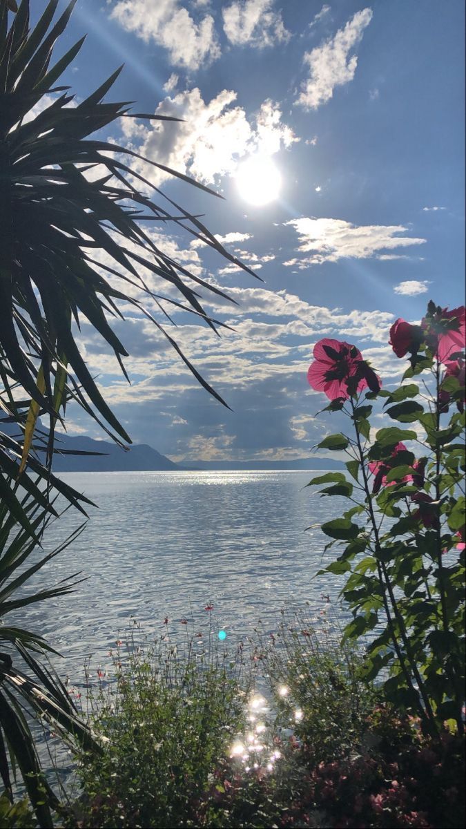 Vanessa Natali (@_natalifranco_) on Twitter photo 