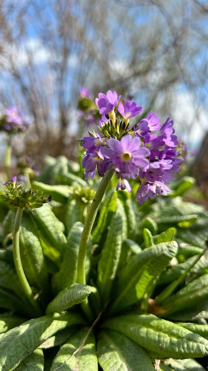 Vanessa Natali (@_natalifranco_) on Twitter photo 