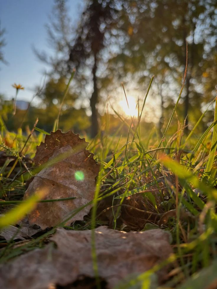 Vanessa Natali (@_natalifranco_) on Twitter photo 