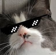 Today I finally come out as a programmer to my parents.