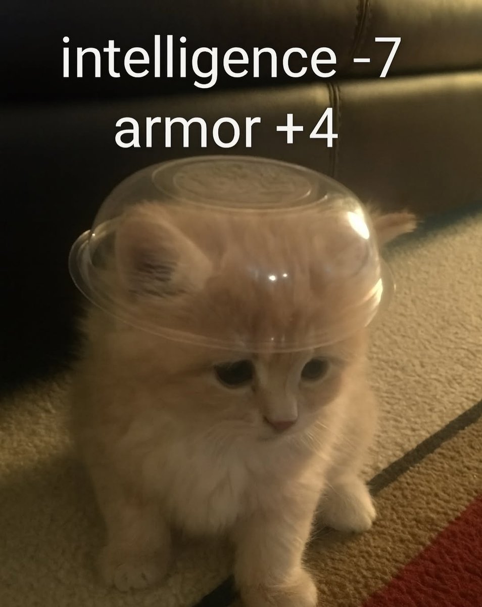 smol silly cat (@catsillyness) on Twitter photo 