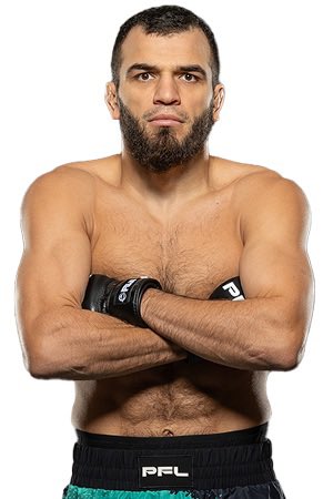 CageSideNote's tweet image. MMAニューカード🏟️

#RoadToDubai 2/8 日本時間

アユーブ🇫🇷 (30) 24-6-1 7KO 8SUB
×
ザイヌコフ🇷🇺 (35) 18-4 5KO 2SUB