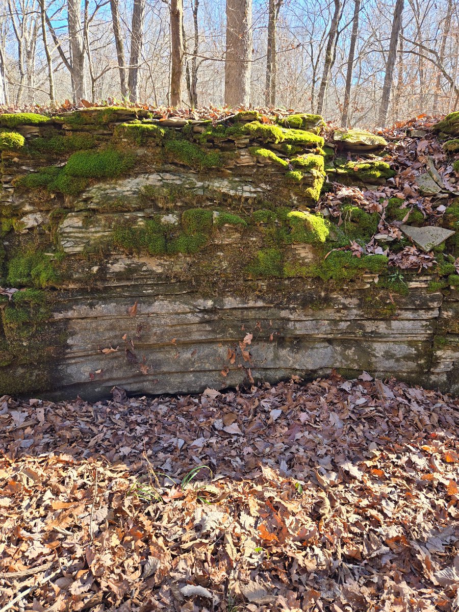 Working in the foothills of the Appalachian Mountains makes for some tough timber inventory work. #AppalachianMountains #Alabama #forestry #forestrylife #rocky #timber #ThingsAForesterSees