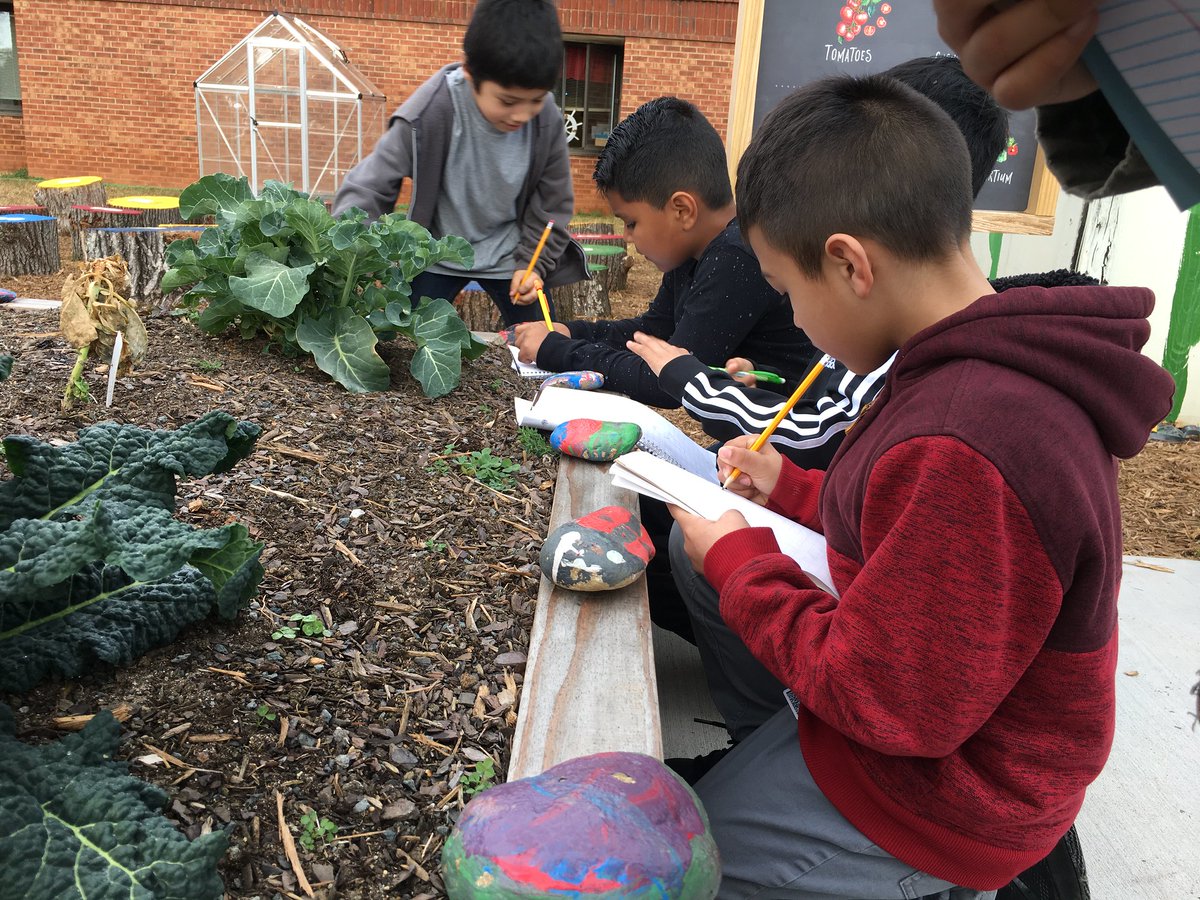 Out Teach tweet media