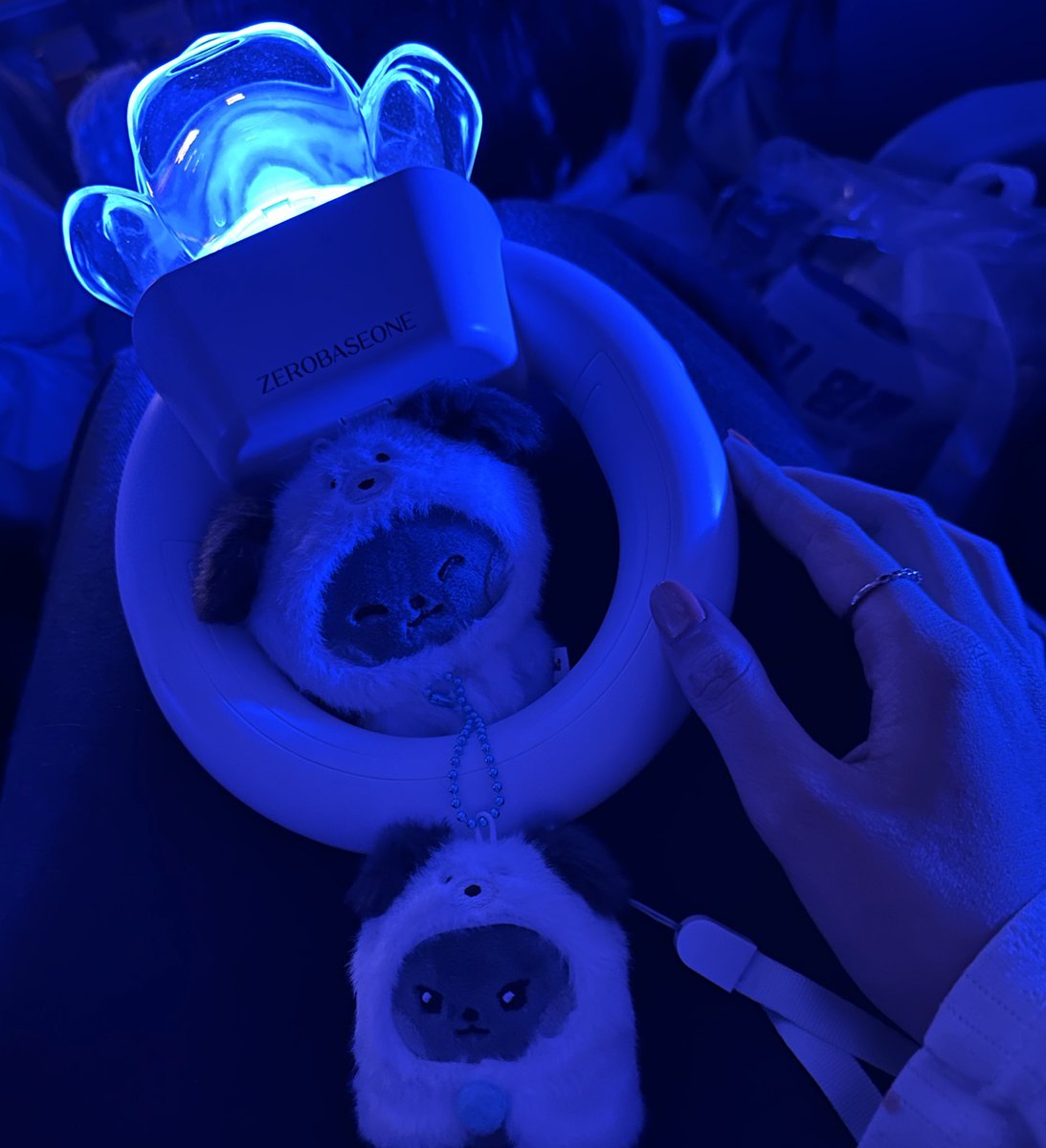 spdanli's tweet image. [Here&amp;amp;Now] in taipei 🐈‍⬛