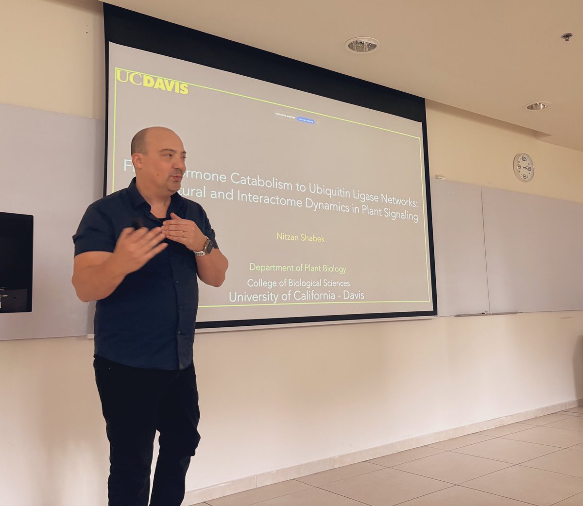 Lior Tal tweet media