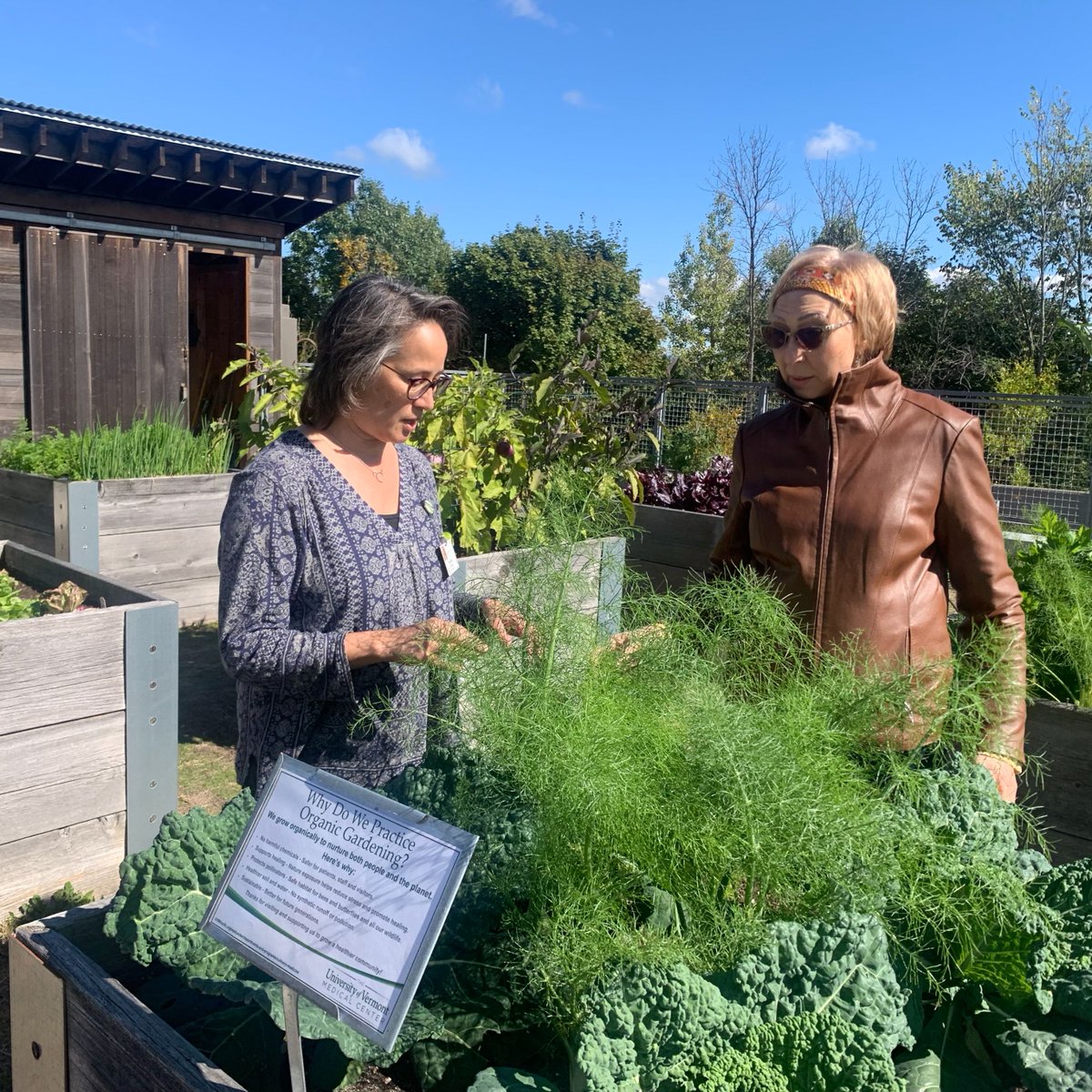 Osher Center for Integrative Health at UVM tweet media