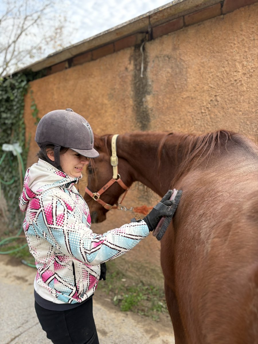 Fundació Els Joncs tweet media