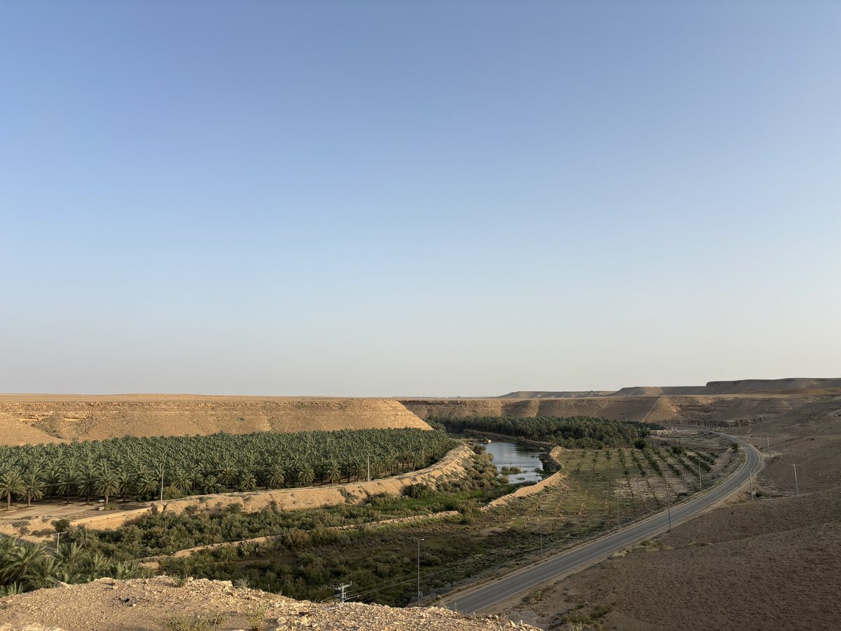 ما يكفي إنها حلوة ؟ صارت مدينة صحية بعد🥹🤍