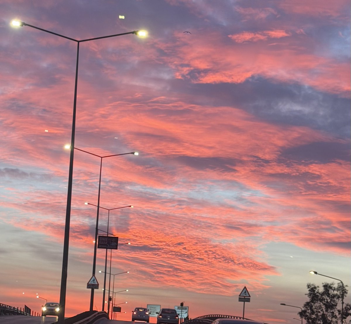 Hele hele renklere bak hele nasıl şekil yapıyor