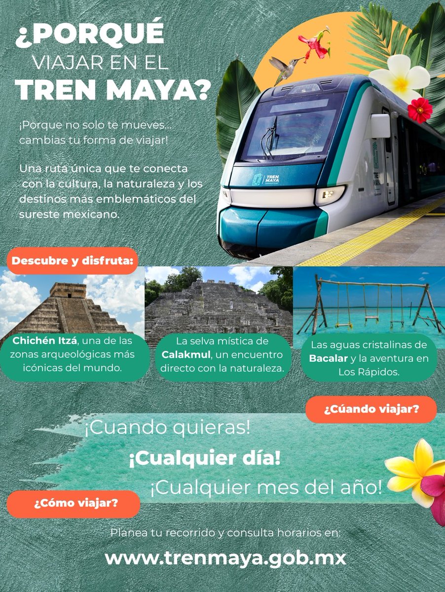 ¿Listo para saber por qué todos quieren viajar en el Tren Maya? 🚆🔥✨

Descubre destinos 🗺️, experiencias únicas 🌅 y razones que te van a enamorar.

🌿✨ ¡Échale un vistazo y arma tu aventura! Elige tu próximo destino ahora mismo en: trenmaya.gob.mx