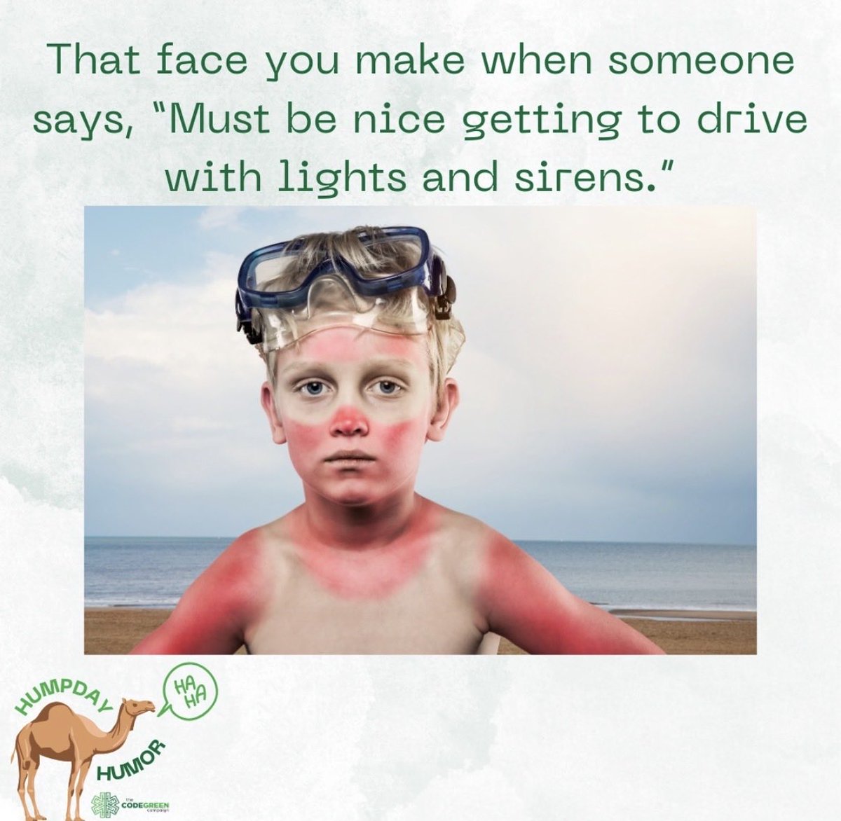 Code Green Campaign tweet media