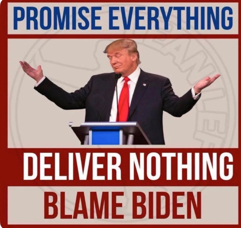 lisa_liberal's tweet image. 