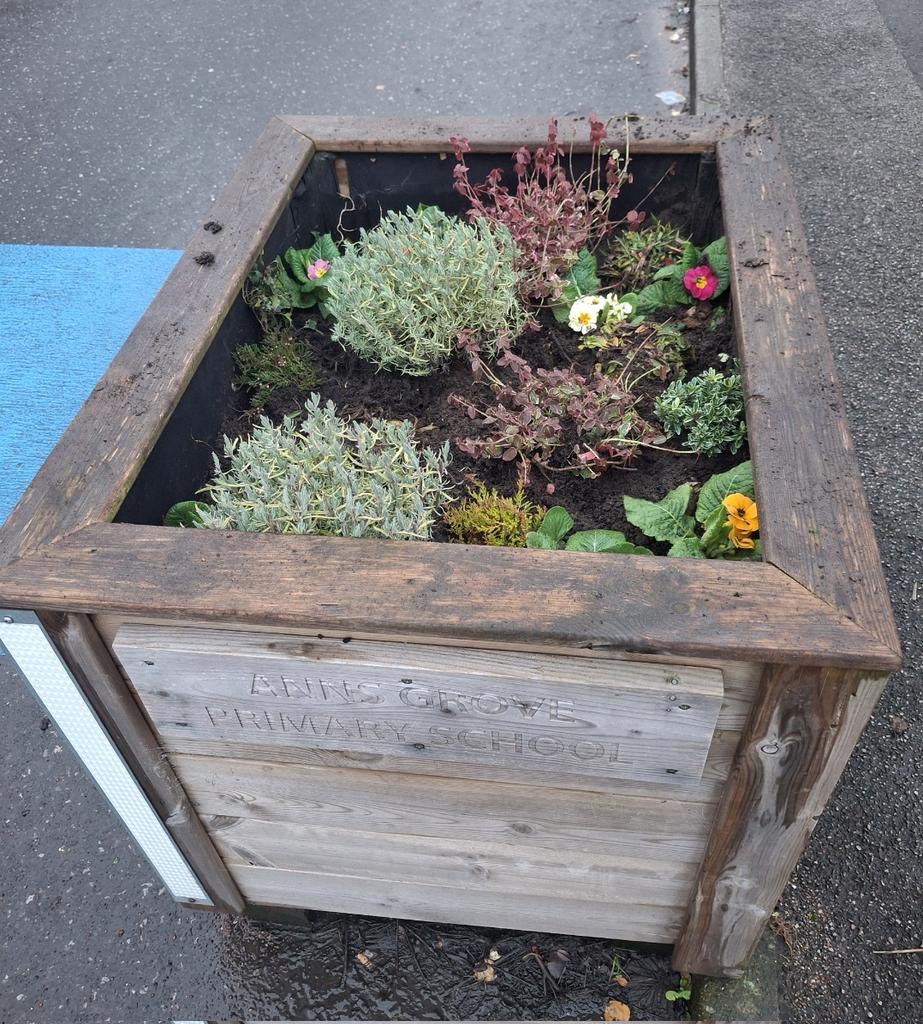 STARS South Yorkshire tweet media