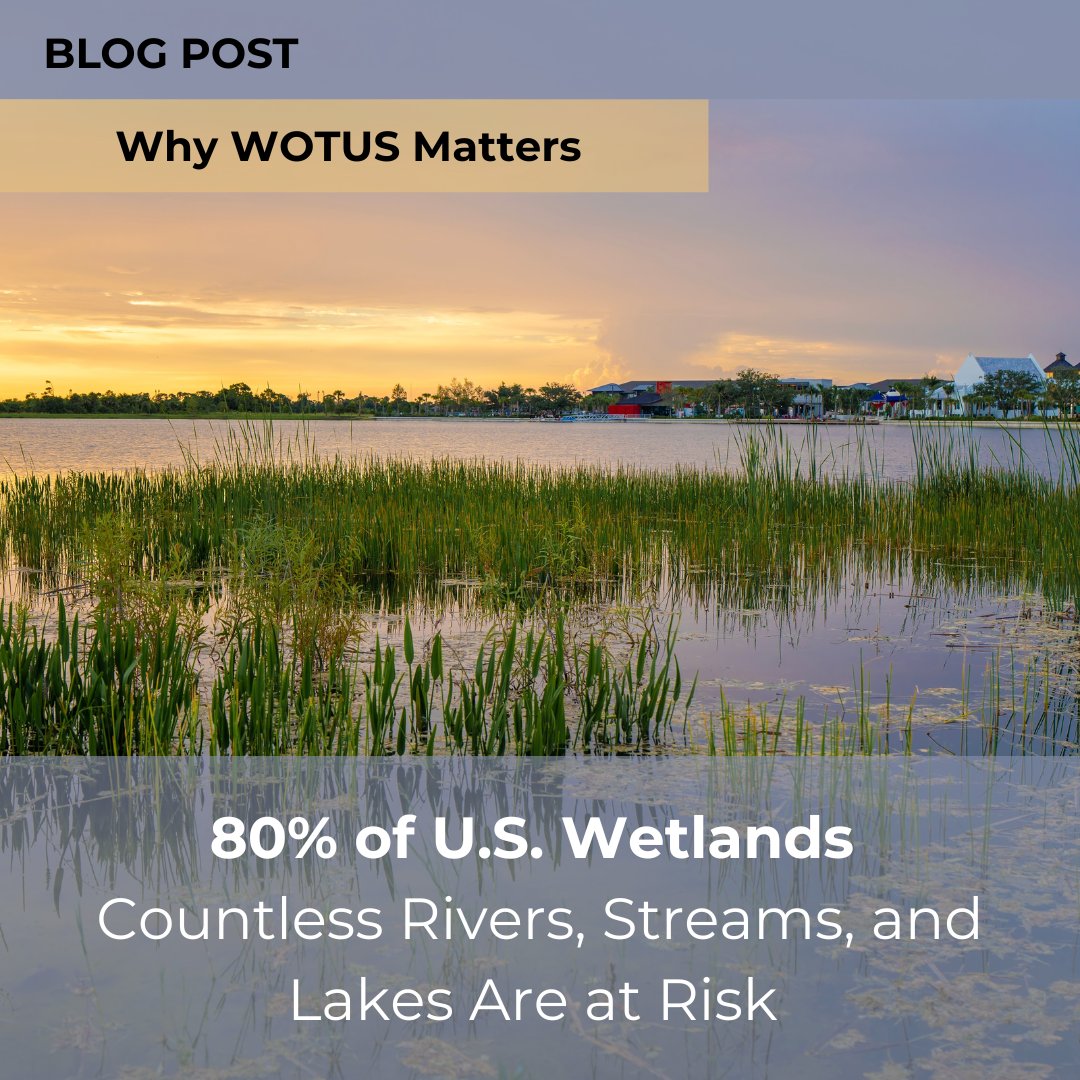 80% of U.S. Wetlands at Risk

<a href="/EPA/">U.S. EPA</a> and <a href="/USACEHQ/">USACE HQ</a> are proposing to remove critical protections for millions of wetlands, rivers, lakes, and streams across the United States.

Waterkeeper Alliance is fighting back, mobilizing communities, and standing up so polluters don’t have the