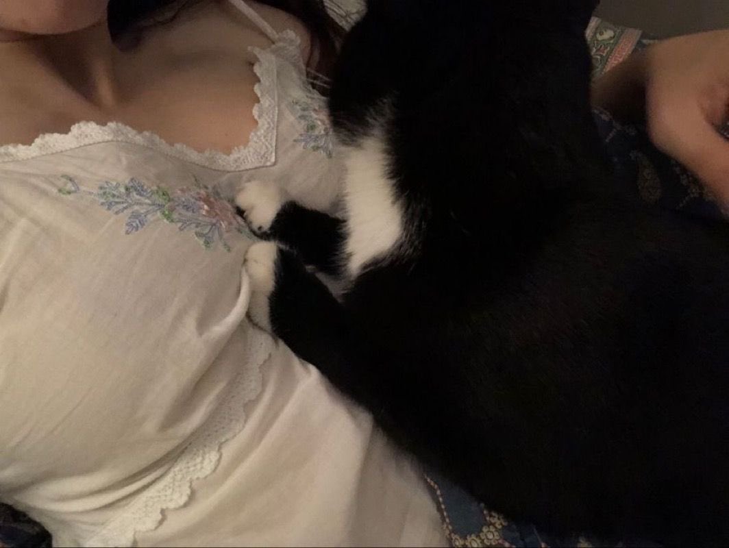 ⋅ꫂ ၴႅၴ. (@theholykiss) on Twitter photo 