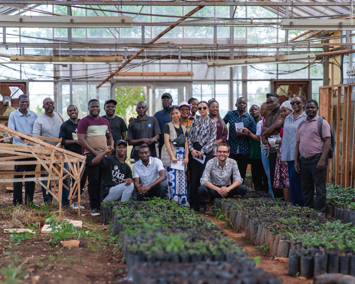 Emerge Livelihoods tweet media