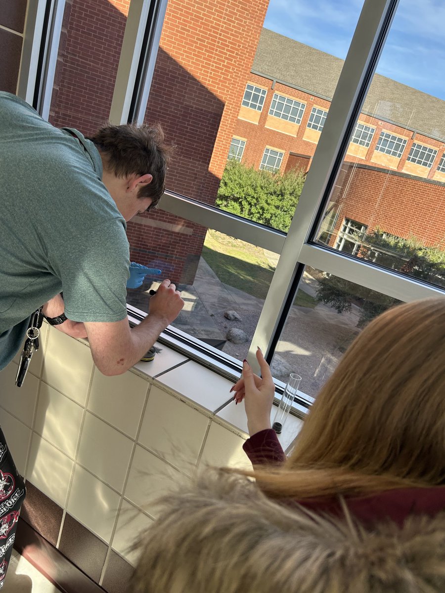 Amanda McCready tweet media