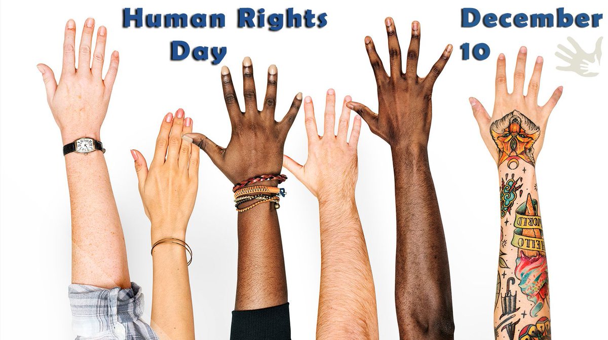 FLchildren1's tweet image. Human Rights Day – December 10 
Today, we celebrate the inherent rights of every person and recommit to protecting the most vulnerable among us—especially children and families. Everyone deserves safety, dignity, and opportunity.
#EquityForAll #FLChildren #ProtectOurKids