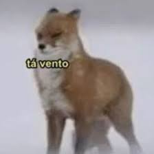 gxtvim's tweet photo. ventando pouco hoje https://t.co/X4hw6gHKOS