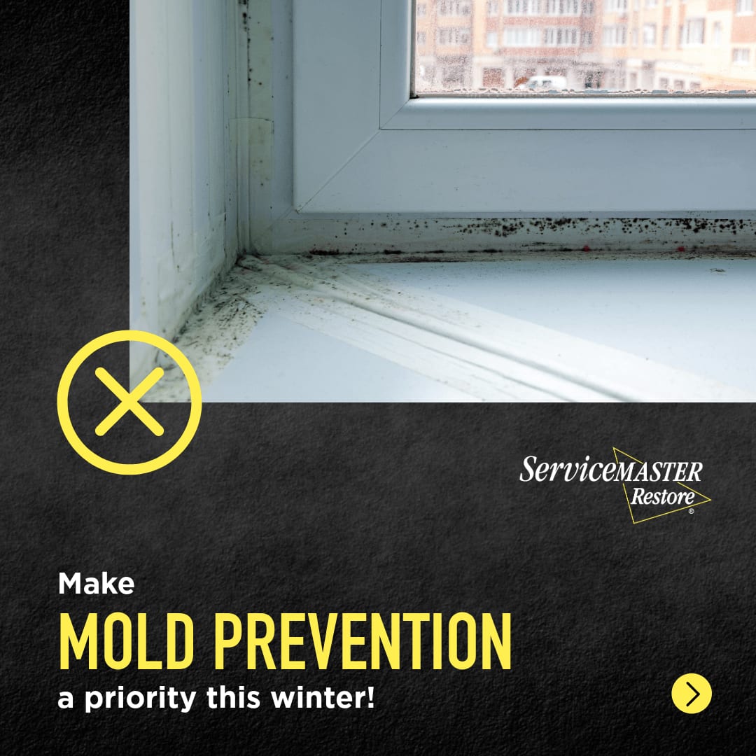 ServiceMasterA3's tweet photo. Mold isn't just a warm weather problem! Colder temperatures combined with indoor moisture are the perfect recipe for mold risk. Here is how to prevent mold during the winter months. https://t.co/9mR8ZkwhUq