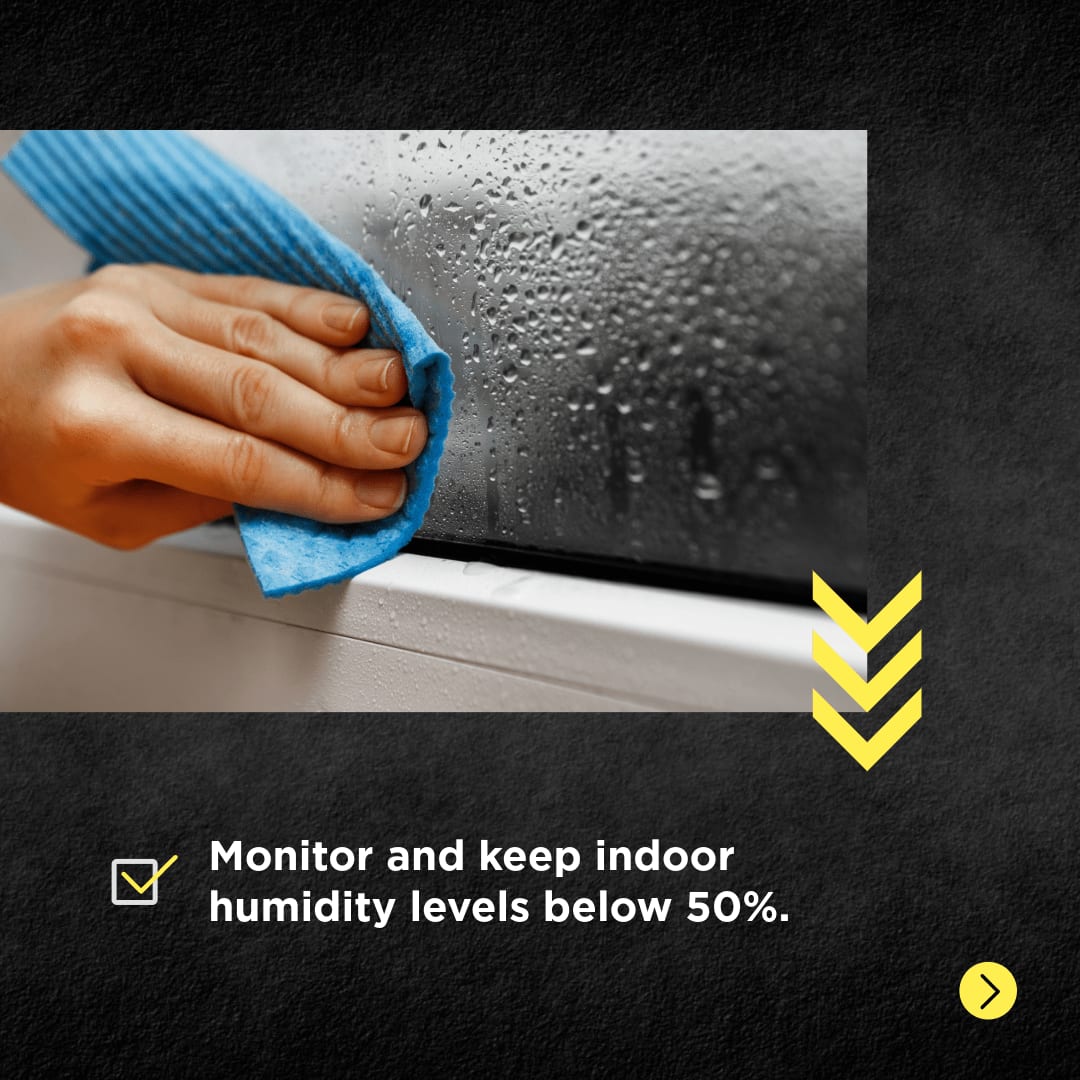 ServiceMasterA3's tweet photo. Mold isn't just a warm weather problem! Colder temperatures combined with indoor moisture are the perfect recipe for mold risk. Here is how to prevent mold during the winter months. https://t.co/9mR8ZkwhUq