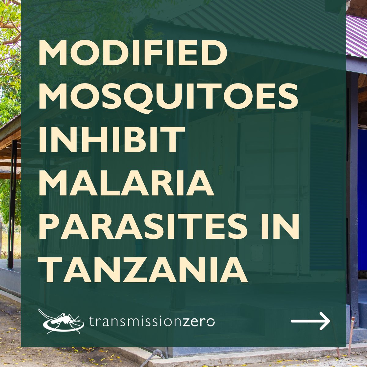 transmissionzero tweet media