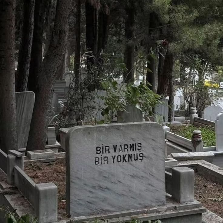 Birbirinizin kıymetini bilin; çünkü zamansız ve aniden ayrılacaksınız.

Hz. Ali (r.a.)